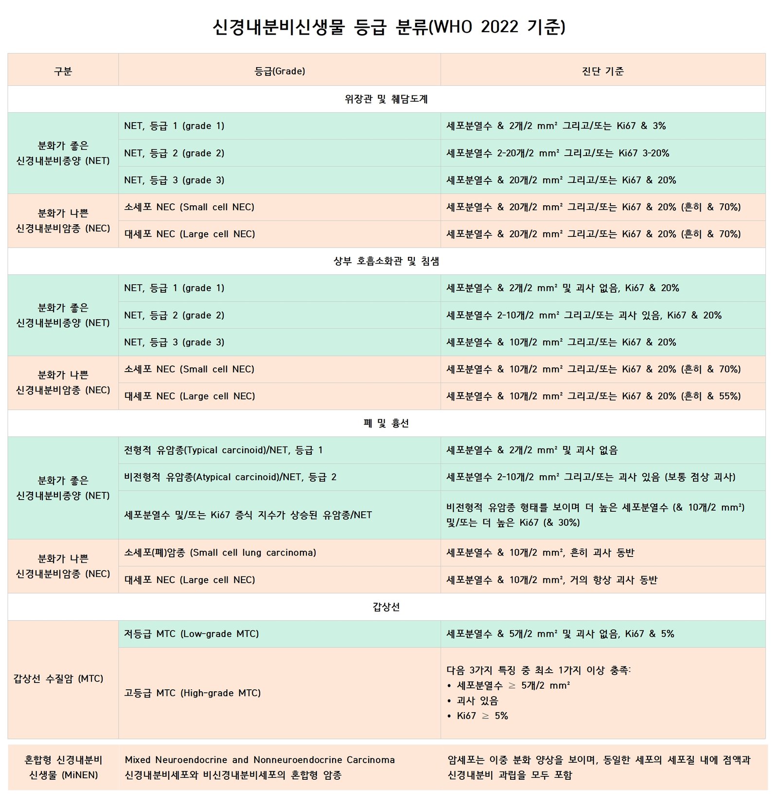 WHO 신경내분비신생물(NEN) 병리학적 분류 체계도